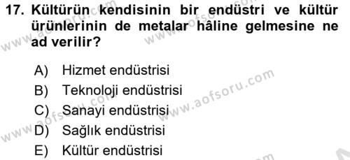 Küreselleşme ve Kültürlerarası İletişim Dersi 2021 - 2022 Yılı (Final) Dönem Sonu Sınavı 17. Soru