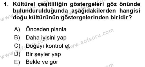 Küreselleşme ve Kültürlerarası İletişim Dersi 2021 - 2022 Yılı Yaz Okulu Sınavı 1. Soru