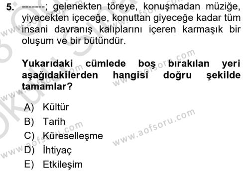 Küreselleşme ve Kültürlerarası İletişim Dersi 2022 - 2023 Yılı Yaz Okulu Sınavı 5. Soru