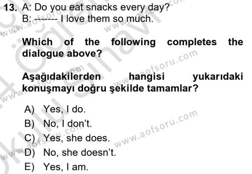 Ingilizce 1 Dersi 2023 - 2024 Yılı Yaz Okulu Sınavı 13. Soru