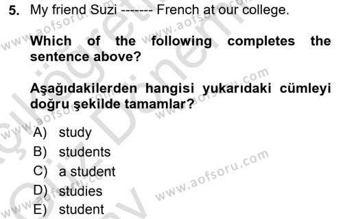 Ingilizce 1 Dersi 2024 - 2025 Yılı (Vize) Ara Sınavı 5. Soru