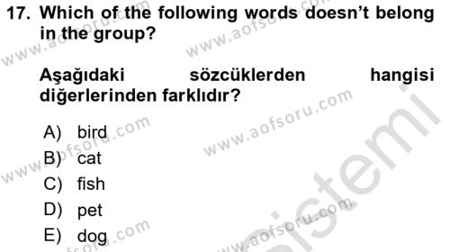 İngilizce 2 Dersi 2023 - 2024 Yılı (Vize) Ara Sınavı 17. Soru