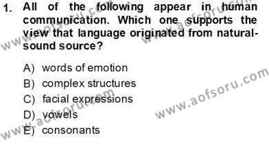 Dilbilim 1 Dersi 2013 - 2014 Yılı Tek Ders Sınavı 1. Soru