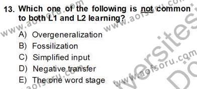 Dilbilim 2 Dersi 2013 - 2014 Yılı (Final) Dönem Sonu Sınavı 13. Soru