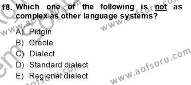 Dilbilim 2 Dersi 2013 - 2014 Yılı (Final) Dönem Sonu Sınavı 18. Soru