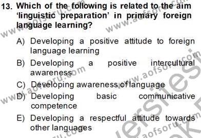 Çocuklara Yabancı Dil Öğretimi 1 Dersi 2013 - 2014 Yılı Tek Ders Sınavı 13. Soru
