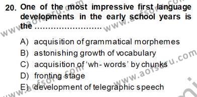 Dil Edinimi Dersi 2013 - 2014 Yılı (Vize) Ara Sınavı 20. Soru