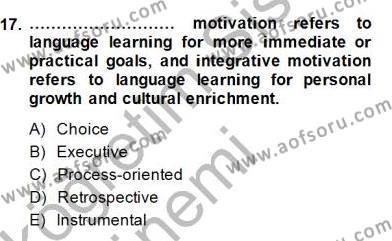 Dil Edinimi Dersi 2014 - 2015 Yılı (Vize) Ara Sınavı 17. Soru