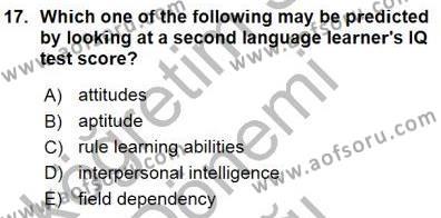 Dil Edinimi Dersi 2015 - 2016 Yılı (Vize) Ara Sınavı 17. Soru
