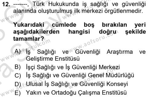 İş Sağlığı ve Güvenliğinin Temelleri Dersi 2022 - 2023 Yılı (Vize) Ara Sınavı 12. Soru