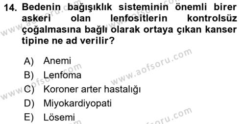 İş Sağlığı ve Güvenliğinin Temelleri Dersi 2022 - 2023 Yılı (Vize) Ara Sınavı 14. Soru