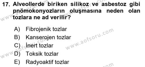 İş Sağlığı ve Güvenliğinin Temelleri Dersi 2022 - 2023 Yılı (Vize) Ara Sınavı 17. Soru