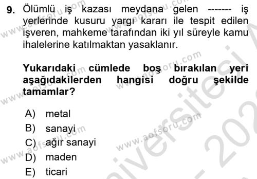 İş Sağlığı ve Güvenliğinin Temelleri Dersi 2022 - 2023 Yılı (Vize) Ara Sınavı 9. Soru