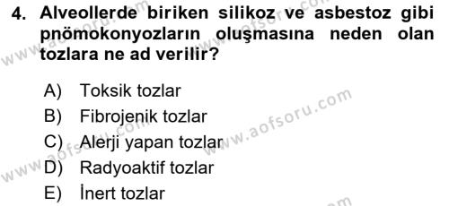 İş Sağlığı ve Güvenliğinin Temelleri Dersi 2022 - 2023 Yılı Yaz Okulu Sınavı 4. Soru