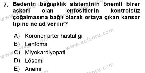 İş Sağlığı ve Güvenliğinin Temelleri Dersi 2022 - 2023 Yılı Yaz Okulu Sınavı 7. Soru