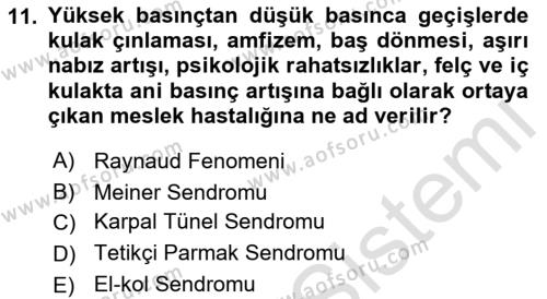 İş Sağlığı ve Güvenliğinin Temelleri Dersi 2023 - 2024 Yılı (Vize) Ara Sınavı 11. Soru