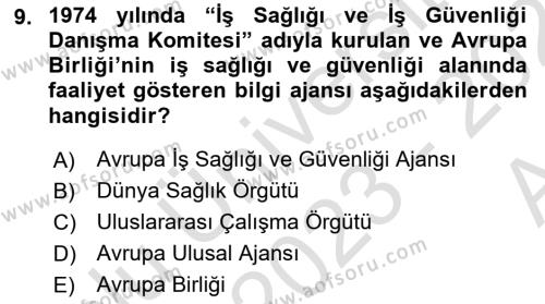 İş Sağlığı ve Güvenliğinin Temelleri Dersi 2023 - 2024 Yılı (Vize) Ara Sınavı 9. Soru