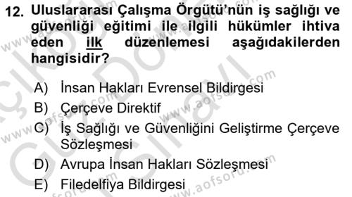 İş Sağlığı ve Güvenliğinin Temelleri Dersi 2023 - 2024 Yılı (Final) Dönem Sonu Sınavı 12. Soru