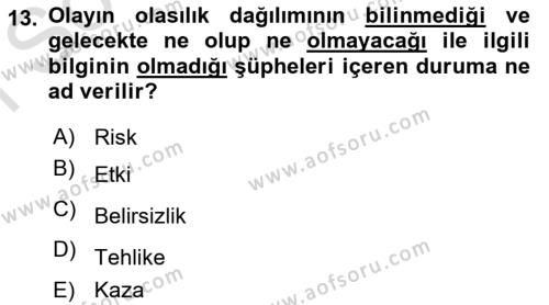 Yönetim Sistemleri ve Risk Yönetimi Dersi 2022 - 2023 Yılı (Final) Dönem Sonu Sınavı 13. Soru