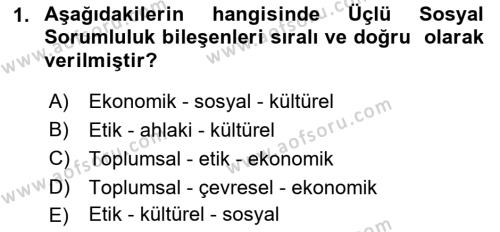 Yönetim Sistemleri ve Risk Yönetimi Dersi 2022 - 2023 Yılı Yaz Okulu Sınavı 1. Soru