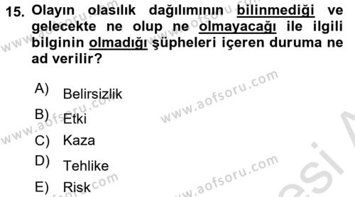 Yönetim Sistemleri ve Risk Yönetimi Dersi 2023 - 2024 Yılı Yaz Okulu Sınavı 15. Soru