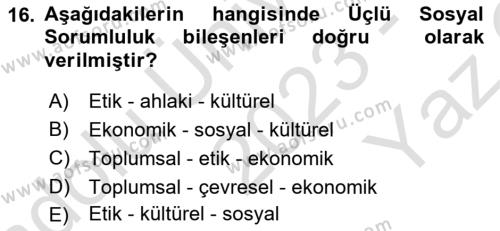 Yönetim Sistemleri ve Risk Yönetimi Dersi 2023 - 2024 Yılı Yaz Okulu Sınavı 16. Soru