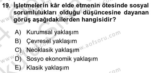 Yönetim Sistemleri ve Risk Yönetimi Dersi 2023 - 2024 Yılı Yaz Okulu Sınavı 19. Soru