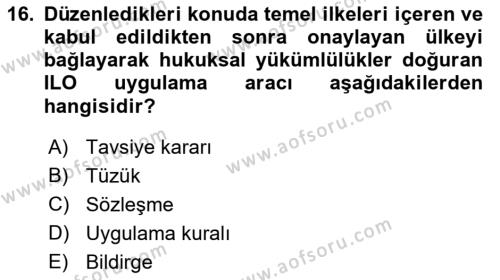 İş Sağlığı ve Güvenliği Mevzuatı Dersi 2023 - 2024 Yılı (Final) Dönem Sonu Sınavı 16. Soru