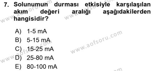 Çevre Sağlığı ve Güvenliği Dersi 2021 - 2022 Yılı (Final) Dönem Sonu Sınavı 7. Soru