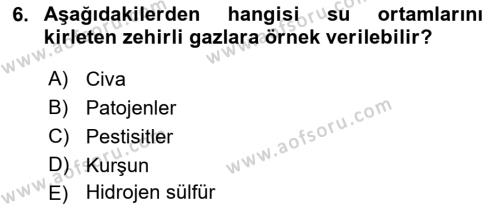 Çevre Sağlığı ve Güvenliği Dersi 2021 - 2022 Yılı Yaz Okulu Sınavı 6. Soru