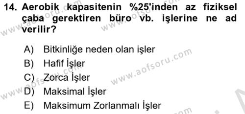 İş Hijyeni ve Ergonomi Dersi 2021 - 2022 Yılı (Final) Dönem Sonu Sınavı 14. Soru