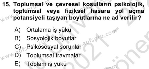 İş Hijyeni ve Ergonomi Dersi 2021 - 2022 Yılı (Final) Dönem Sonu Sınavı 15. Soru