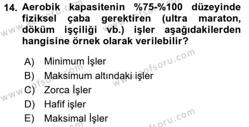 İş Hijyeni ve Ergonomi Dersi 2021 - 2022 Yılı Yaz Okulu Sınavı 14. Soru