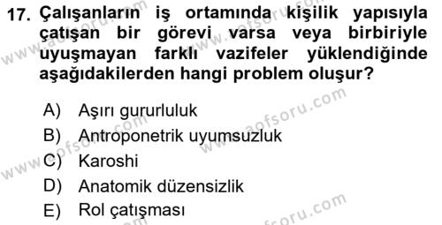 İş Hijyeni ve Ergonomi Dersi 2021 - 2022 Yılı Yaz Okulu Sınavı 17. Soru