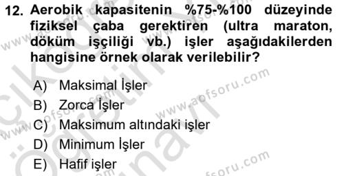 İş Hijyeni ve Ergonomi Dersi 2022 - 2023 Yılı Yaz Okulu Sınavı 12. Soru