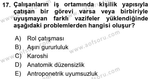 İş Hijyeni ve Ergonomi Dersi 2022 - 2023 Yılı Yaz Okulu Sınavı 17. Soru