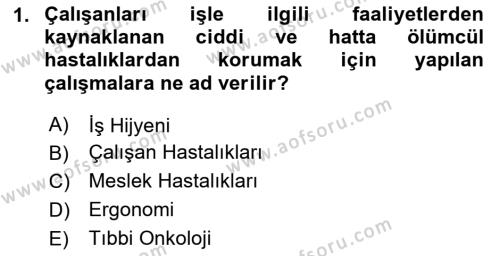 İş Hijyeni ve Ergonomi Dersi 2023 - 2024 Yılı Yaz Okulu Sınavı 1. Soru