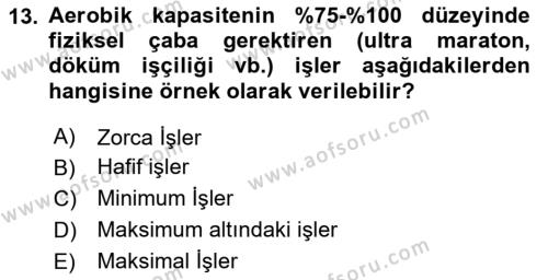 İş Hijyeni ve Ergonomi Dersi 2023 - 2024 Yılı Yaz Okulu Sınavı 13. Soru