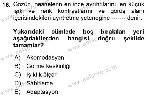 İş Hijyeni ve Ergonomi Dersi 2023 - 2024 Yılı Yaz Okulu Sınavı 16. Soru