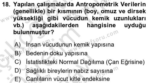 İş Hijyeni ve Ergonomi Dersi 2023 - 2024 Yılı Yaz Okulu Sınavı 18. Soru