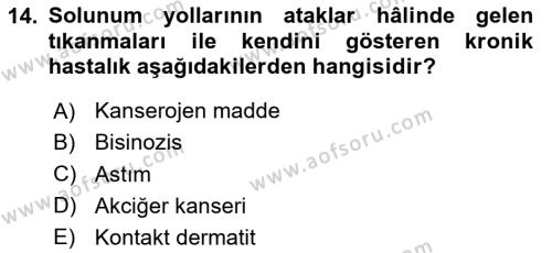 Sektörel İş Sağlığı ve Güvenliği Dersi 2020 - 2021 Yılı Yaz Okulu Sınavı 14. Soru