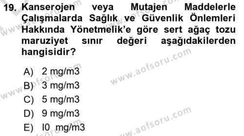 Sektörel İş Sağlığı ve Güvenliği Dersi 2021 - 2022 Yılı (Final) Dönem Sonu Sınavı 19. Soru