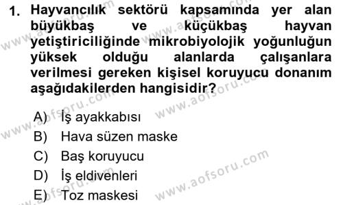 Sektörel İş Sağlığı ve Güvenliği Dersi 2021 - 2022 Yılı Yaz Okulu Sınavı 1. Soru