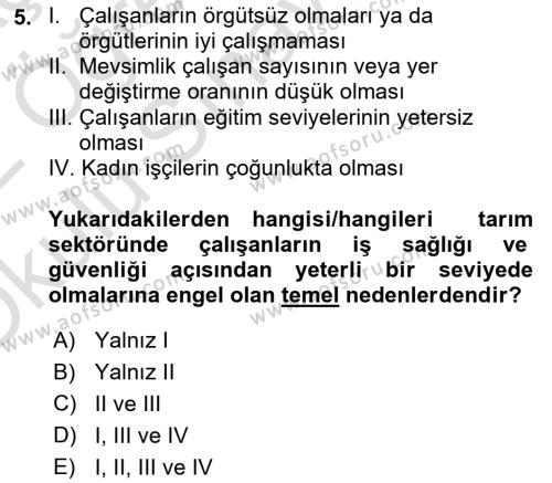 Sektörel İş Sağlığı ve Güvenliği Dersi 2021 - 2022 Yılı Yaz Okulu Sınavı 5. Soru