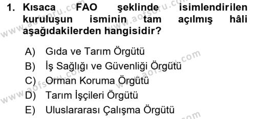 Sektörel İş Sağlığı ve Güvenliği Dersi 2023 - 2024 Yılı (Vize) Ara Sınavı 1. Soru