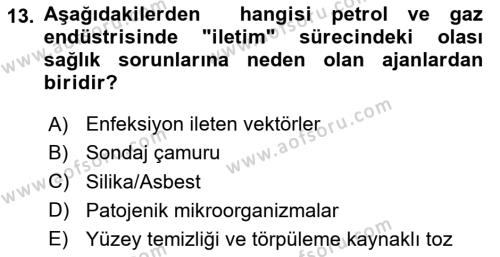 Sektörel İş Sağlığı ve Güvenliği Dersi 2023 - 2024 Yılı (Final) Dönem Sonu Sınavı 13. Soru