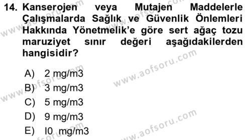 Sektörel İş Sağlığı ve Güvenliği Dersi 2023 - 2024 Yılı (Final) Dönem Sonu Sınavı 14. Soru