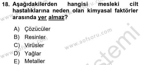 İş Sağlığı ve Güvenliği Donanımları ve Ölçme Teknikleri Dersi 2023 - 2024 Yılı (Final) Dönem Sonu Sınavı 18. Soru