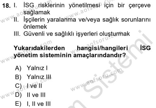 İş Sağlığı Yönetimi Dersi 2023 - 2024 Yılı (Final) Dönem Sonu Sınavı 18. Soru