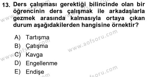 İş Yaşaminda Risk Etmenleri Ve Yönetimsel Faktörler Dersi 2020 - 2021 Yılı Yaz Okulu Sınavı 13. Soru